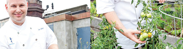 EDB001.Program.Email4